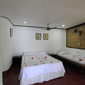 Native Island Cottage Fan Room